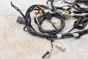 Arctic Cat - 07 Arctic Cat 250 2x4 Wire Harness Electrical Wiring - Image 2