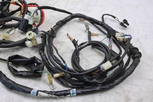 Arctic Cat - 07 Arctic Cat 250 2x4 Wire Harness Electrical Wiring - Image 3