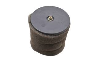 Arctic Cat - 07 Arctic Cat 250 2x4 Air Filter - Image 3