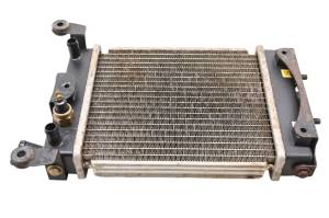 07 Arctic Cat 250 2x4 Radiator