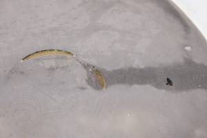 Bombardier - 04 Can-Am Outlander 330 4x4 Seat Bombardier - Image 5