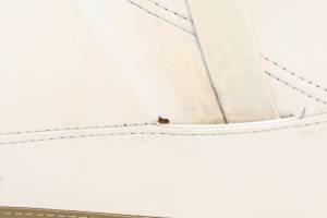 Sea-Doo - 12 Sea-Doo GTX Limited iS 260 Seat - Image 2