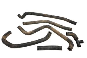 Polaris - 09 Polaris RZR 800 EFI Radiator Coolant Hoses - Image 1