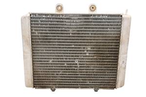 Polaris - 09 Polaris RZR 800 EFI Radiator - Image 1