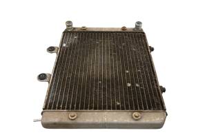 Polaris - 09 Polaris RZR 800 EFI Radiator - Image 4