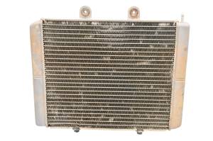 10 Polaris RZR S 800 EFI Radiator