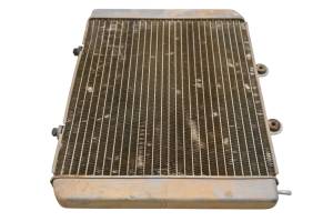 Polaris - 10 Polaris RZR S 800 EFI Radiator - Image 4