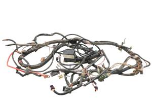 Polaris - 10 Polaris RZR S 800 EFI Wire Harness Electrical Wiring - Image 1