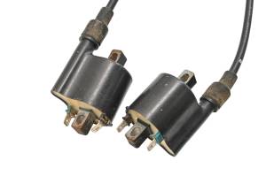 Kawasaki - 20 Kawasaki Teryx KRX1000 Ignition Coils KRF1000 - Image 3