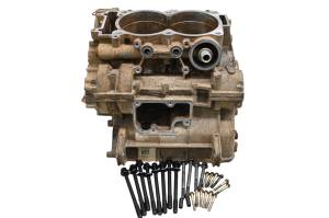 15 Polaris RZR 900 EPS Trail Crankcase Center Crank Case