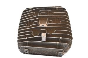 Polaris - 99 Polaris Trail Boss 250 2x4 Cylinder Head - Image 4