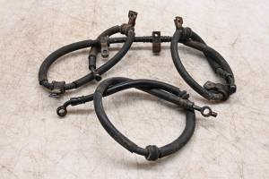 03 Honda Rubicon 500 4x4 Front Brake Lines TRX500FA