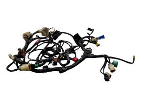 Honda - 03 Honda Rincon 650 4x4 Wire Harness Electrical Wiring - Image 1