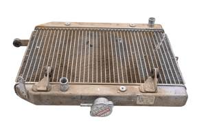 Honda - 03 Honda Rincon 650 4x4 Radiator - Image 1