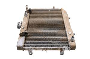 Honda - 03 Honda Rincon 650 4x4 Radiator - Image 2