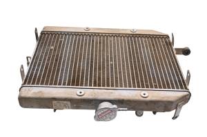 Honda - 03 Honda Rincon 650 4x4 Radiator - Image 3