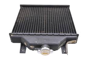 Polaris - 96 Polaris Sportsman 500 4x4 Radiator - Image 3