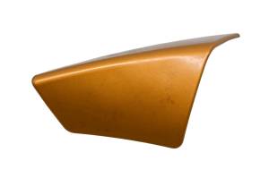 Sea-Doo - 06 Sea-Doo RXP 215 Reverse Handle Cover - Image 1