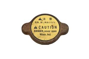 16 Kubota RTV-X1100CW Radiator Cap