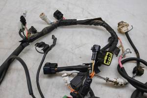 Suzuki - 07 Suzuki Ozark 250 2x4 Wire Harness Electrical Wiring LTF250 For Parts - Image 4
