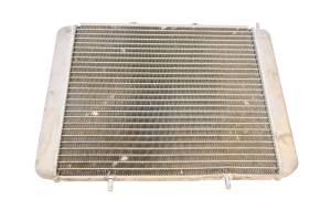 Polaris - 11 Polaris RZR 800 EFI 4x4 Radiator - Image 1