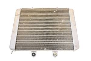 Polaris - 11 Polaris RZR 800 EFI 4x4 Radiator - Image 2