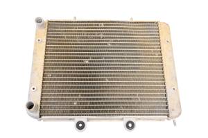Polaris - 11 Polaris RZR 800 EFI 4x4 Radiator - Image 3