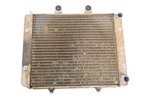 Polaris - 08 Polaris RZR 800 EFI 4x4 Radiator - Image 1