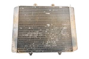 Polaris - 08 Polaris RZR 800 EFI 4x4 Radiator - Image 2