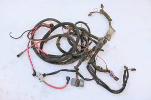 Polaris - 02 Polaris Sportsman 700 4x4 Wire Harness Electrical Wiring - Image 1