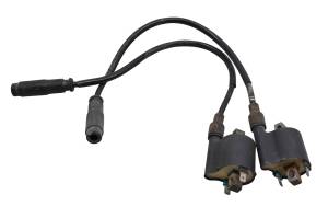 10 Kawasaki Teryx 750 Sport FI 4x4 Ignition Coils KRF750S
