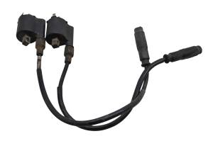 Kawasaki - 10 Kawasaki Teryx 750 Sport FI 4x4 Ignition Coils KRF750S - Image 3