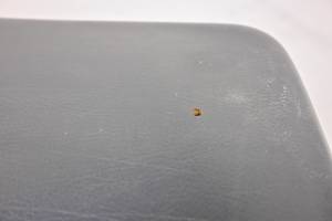 Kawasaki - 21 Kawasaki Mule Pro-DXT Seat Bottom Cushion Front Or Rear KAF1000 - Image 9