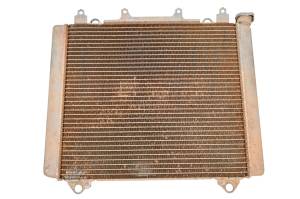 Kawasaki - 21 Kawasaki Mule Pro-DXT Radiator KAF1000 - Image 3