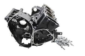 Yamaha - 24 Yamaha XSR900 Crankcase Center Crank Case & Cylinders - Image 1