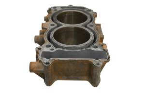 Kawasaki - 24 Kawasaki Teryx KRX 1000 Cylinder & Pistons KRF1000 - Image 4