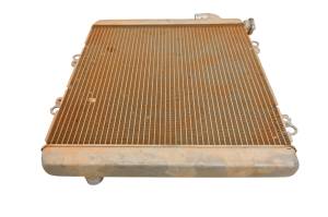 Kawasaki - 24 Kawasaki Teryx KRX 1000 Radiator KRF1000 - Image 2