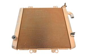 Kawasaki - 24 Kawasaki Teryx KRX 1000 Radiator KRF1000 - Image 3