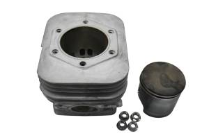 19 Polaris Indy Adventure 550 Cylinder & Piston