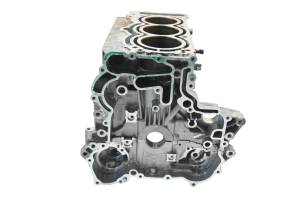 Can-Am - 19 Can-Am Ryker 900 Crankcase Center Crank Case & Cylinders - Image 4