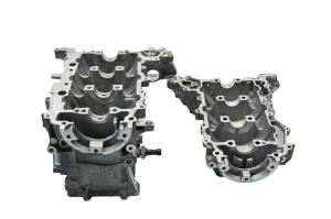 Can-Am - 19 Can-Am Ryker 900 Crankcase Center Crank Case & Cylinders - Image 5