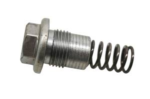 Kawasaki - 22 Kawasaki KLX300SM Cam Chain Tensioner - Image 1