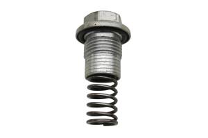 Kawasaki - 22 Kawasaki KLX300SM Cam Chain Tensioner - Image 2