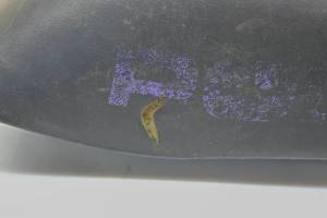 Polaris - 96 Polaris Scrambler 400 4x4 Seat For Parts - Image 7