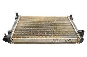 Polaris - 13 Polaris Brutus Radiator - Image 1