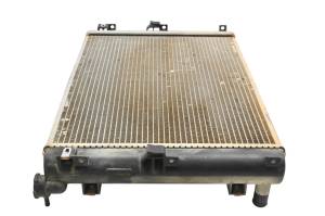Polaris - 13 Polaris Brutus Radiator - Image 3