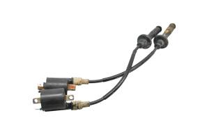 Honda - 20 Honda Talon 1000X Ignition Coils - Image 1
