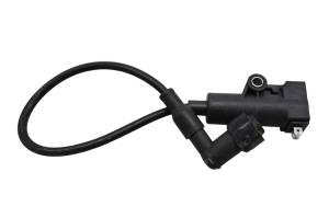 23 Bighorn Explorer 450 VXL-T Ignition Coil