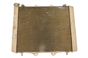 Honda - 19 Honda Talon 1000X Radiator Honda - Image 1