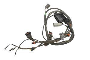 Can-Am - 08 Can-Am Renegade 500 Ecm Wire Harness Electrical Wiring - Image 2